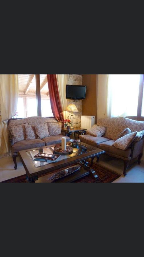 Aetoma Suites Synikia Mesi Trikalon Luaran gambar