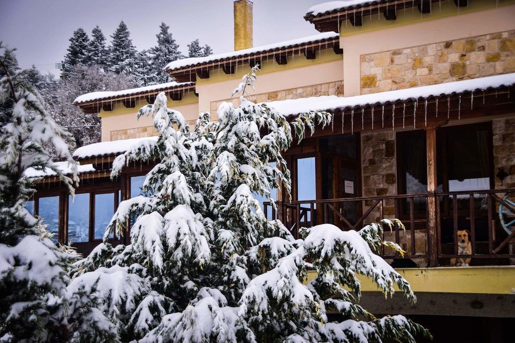 Aetoma Suites Synikia Mesi Trikalon Luaran gambar